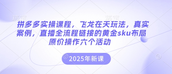 拼多多实操课程，飞龙在天玩法，真实案例，直播全流程链接的黄金sku布局原价操作六个活动-牛创网