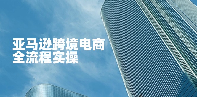 (14252期)亚马逊跨境电商全流程实操,教你从零开始,掌握店铺运营与广告技巧-牛创网