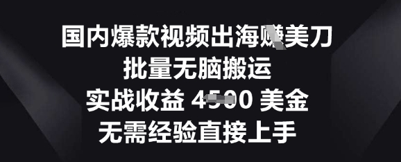 国内爆款视频出海挣美刀，批量无脑搬运，实战收益4.5k，无需经验直接上手-牛创网