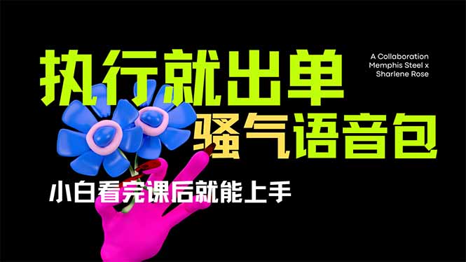 (14170期)爆火全网的开车导航骚气语音包,只要执行就出单,小白看完课程就能实操...-牛创网
